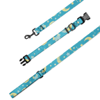 Pet Collar & Leash