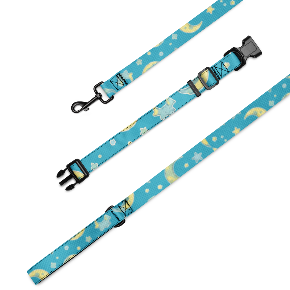 Pet Collar & Leash