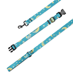 Pet Collar & Leash