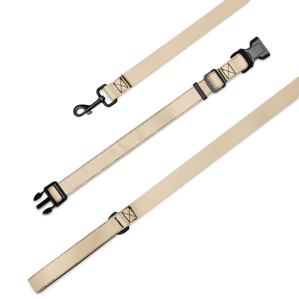 Pet Collar & Leash