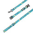 Pet Collar & Leash