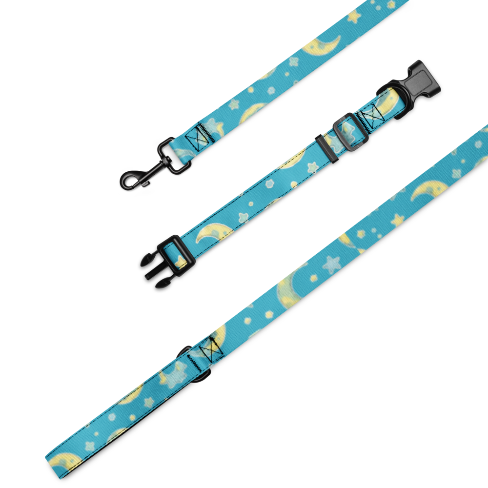 Pet Collar & Leash