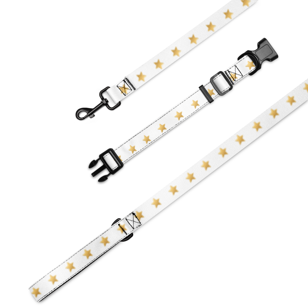 Pet Collar & Leash